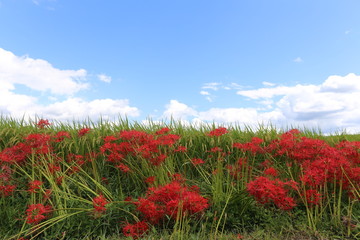 大和路の秋景色