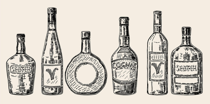 Vector vintage hand drawn sketch style alcohol bottles set