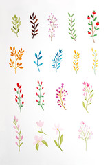 Hand drawing flowers and leaves in watercolor style on white paper background