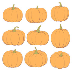 Ginger Pumpkins on a White Background