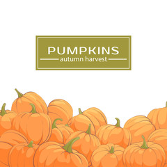 Background of pumpkins