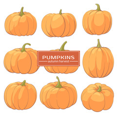 Tasty Pumpkins on a white background