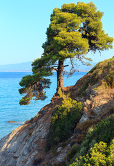 Summer sea coast (Halkidiki, Greece). © wildman