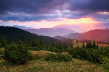 Under the purple sky lay down mountain hills covered with creeping pines and firs.