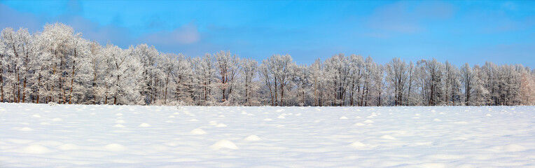 The panoramic view with nice snowy trees, blue sky and textured snow.