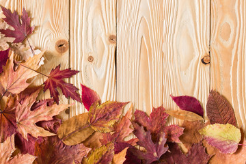 Naklejka na ściany i meble fallen leaves on wooden background, top view