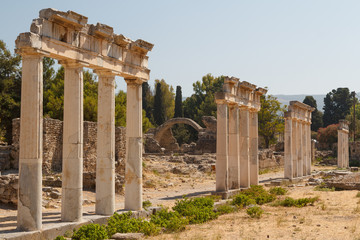 Fototapeta premium Roman ruins in the Kos town, Kos island, Greece