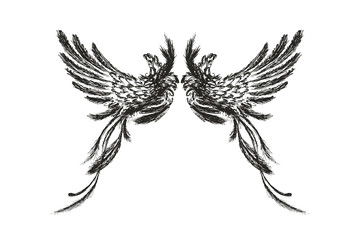 Obraz premium Hand drawn wings,isolated on white background,
