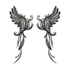 Hand drawn wings,isolated on white background,