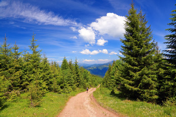 Fototapeta premium Boy with tourist backpacks go on a wide road near the forest on a sunny summer day.