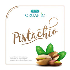 Vector frame of realistic pistachio with leaves isolated on white background. Square frame for packaging design with place for your text and logo