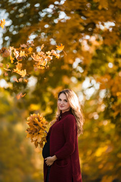 Pregnant woman in the yellow maple park in leaves