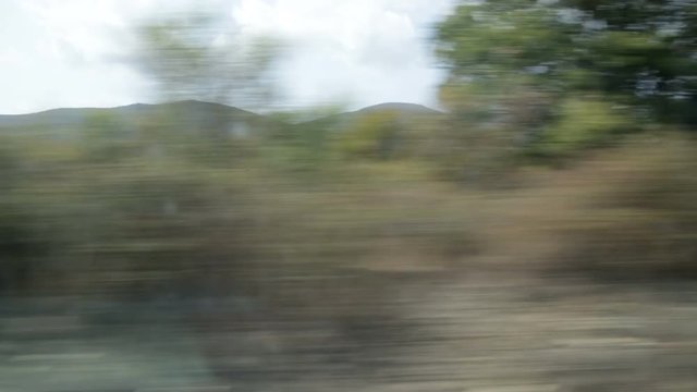 Vista fuori dal finestrino del treno in viaggio con panorama di alberi e natura