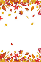 Autumn leaves border isolated on white background. Abstract fall background for your greeting cards design or website. Vector illustration