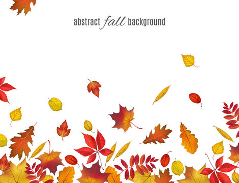 Autumn leaves border isolated on white background. Abstract fall background for your greeting cards design or website. Vector illustration