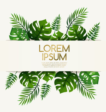 Invitation Card Template with Exotic Tropical Leaves : Vector Illustration