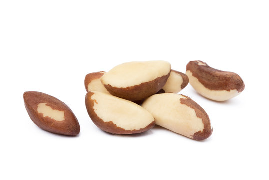 Para nuts isolated on a white background.