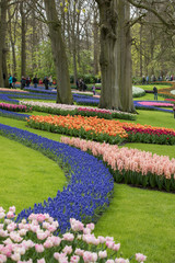 Obraz premium Visitors at the Keukenhof Garden in Lisse, Holland, Netherlands.