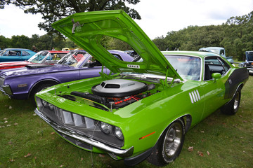 Open-air exhibition and sale of vintage cars