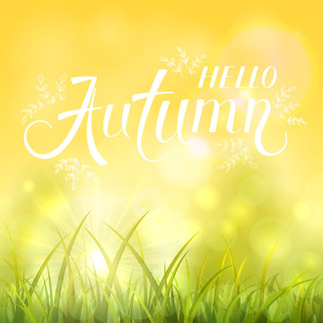 Autumn background with grass and shinning sun