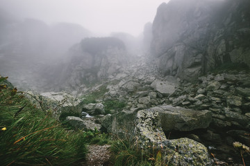 Foggy mountains landscape - High Tatra Mountains, Slovak Republic © Soloviova Liudmyla