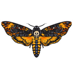 Death head hawkmoth.