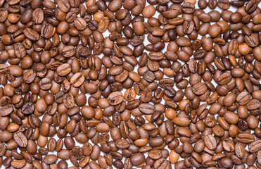 Coffee beans shot close up with a macro lens on a white background 