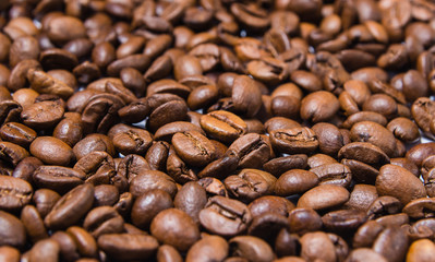 Coffee beans shot close up with a macro lens on a white background 