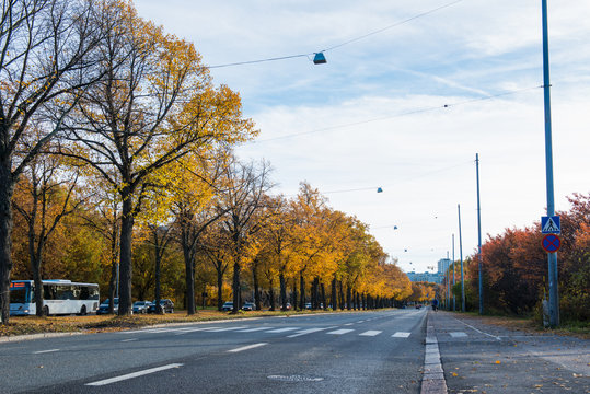 Autumn Trees In Helsinki Finland