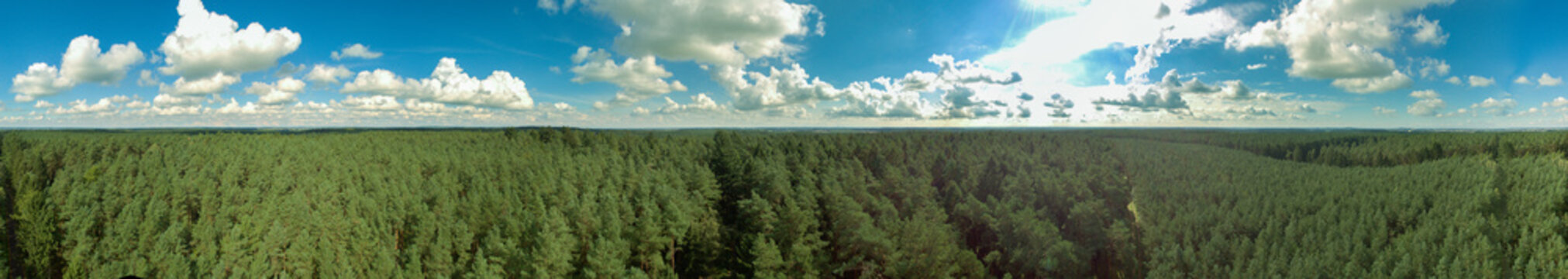 Fototapeta 360 degree aerial view panorama of green pine tree forest in european with blue sky