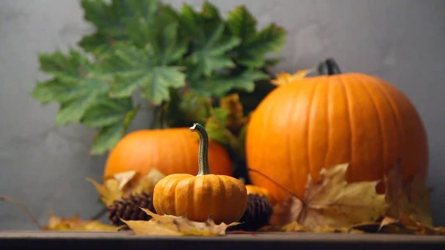 Halloweeen seasonal pumpkin on wooden table