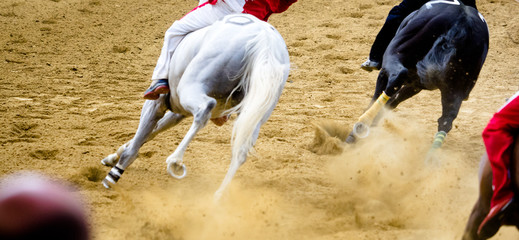 Palio di Asti con corsa dei cavalli al galoppo