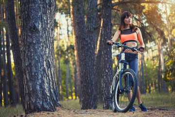 Plakat cyclist cycling mountain bike on Pine forest trail