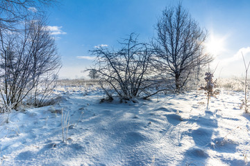 Fototapeta na wymiar Winter landscape of field in snow and sky with sun in the morning frost