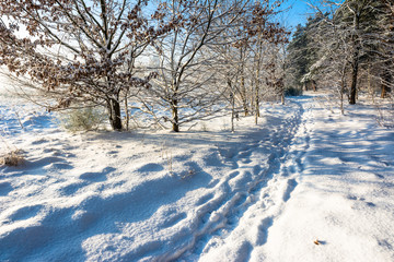 Path in snow, winter landscape