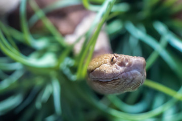 You look delicioussssssss