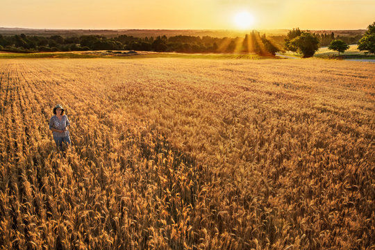 Farmer woman standing in their wheat field at sunset