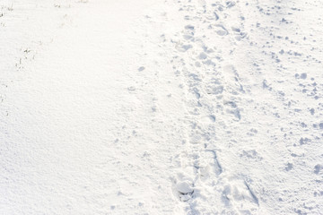 Footprints in snow, winter background
