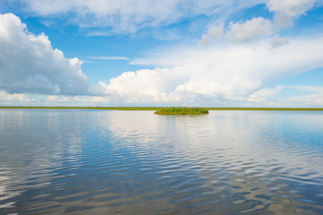 Lake shoreline below a blue cloudy sky in summer