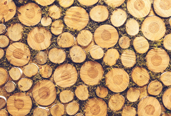 Pile of wood logs background, texture. Landscape exterior, toned image