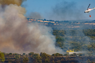 Fire in the wilderness with plane and helicopter