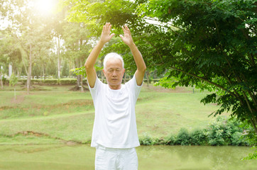 Old people practicing martial arts in the park