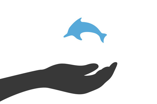 Hand hält Delfin