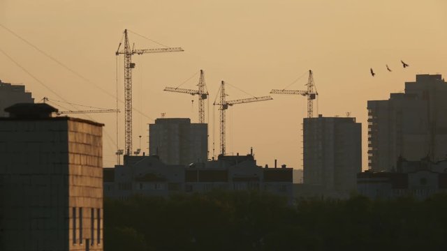 Construction cranes on construction site at sunrise
