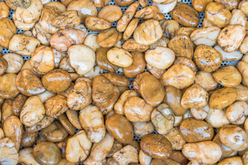 top view of background wet rolling stone.