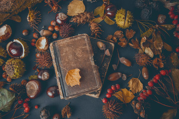 Autumn still life with apples, warm blanket, books and leaves over rustic wood background. Horizontal. - 172344758