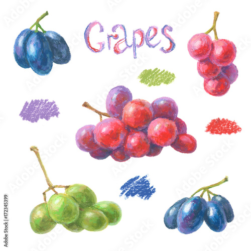 "Set of crayon grapes. Hand drawn artistic fruit painted with oil