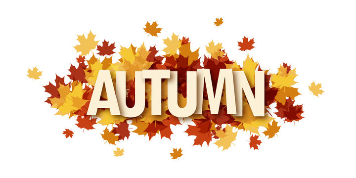 AUTUMN banner with leaves