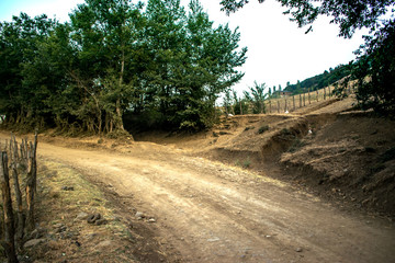 Mountain road landscape, tree and ground road. Azerbaijan