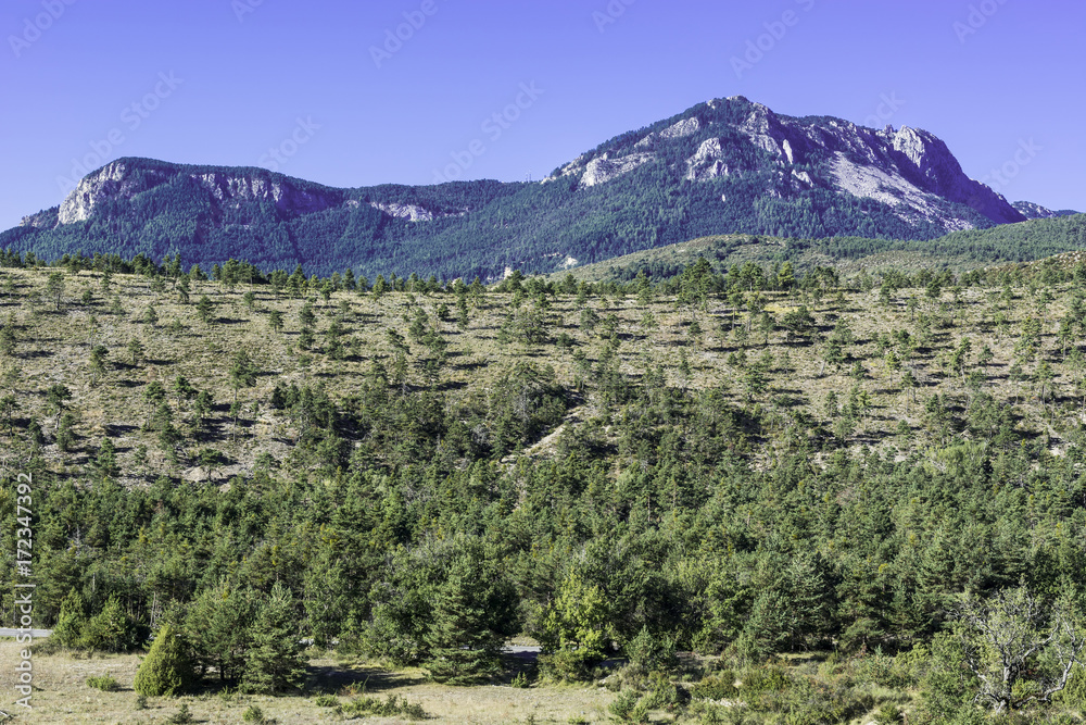 Poster Alpine landscape in southeastern France